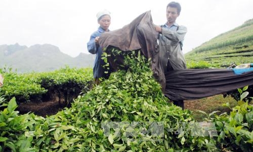 Kinh tế tiến gần đến đích